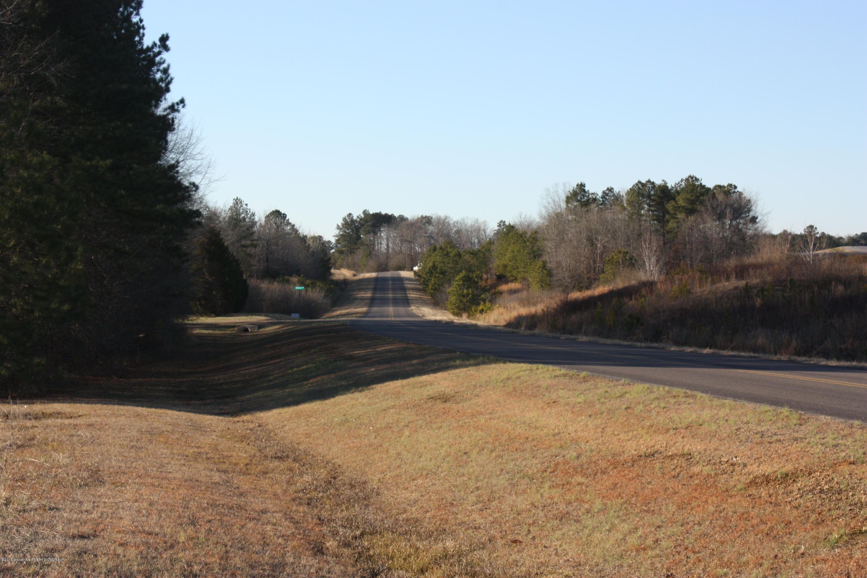 Henslee Road Carbon Hill, AL 35549 - Photo 8 of 13 Gallery Image 8
