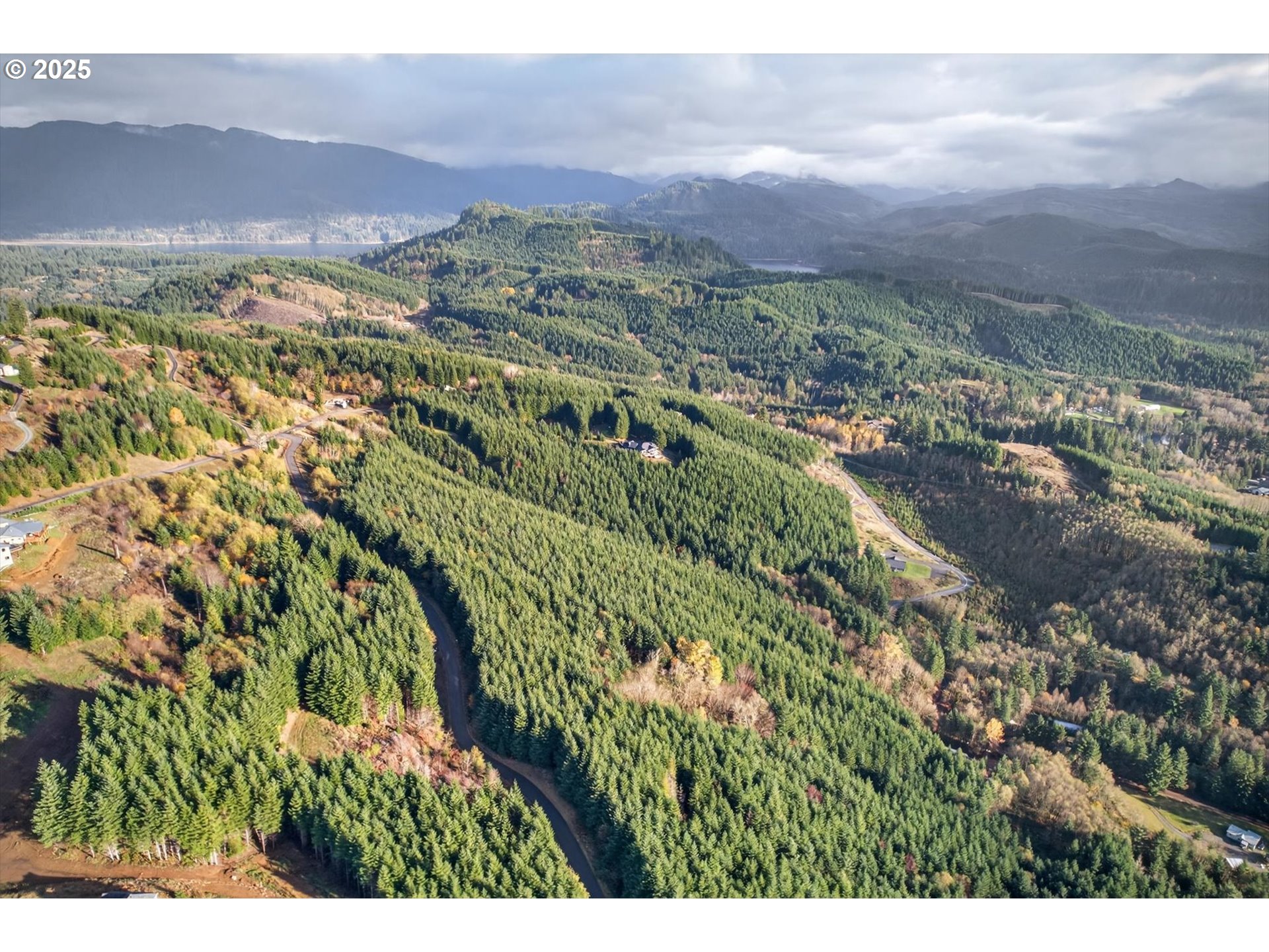 0 Knights Bridge Road Amboy, WA 98601 - Photo 16 of 20 a view of a city with mountain