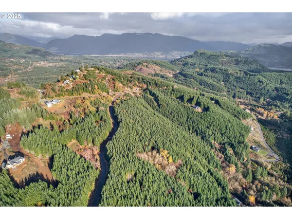 a view of a lush green hillside and houses