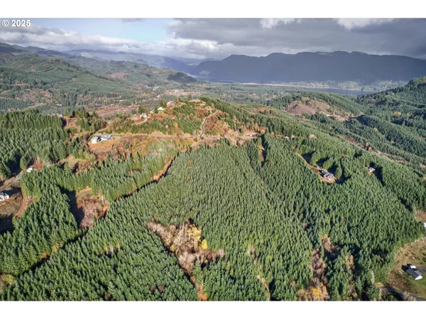 a view of a lush green hillside and mountains
