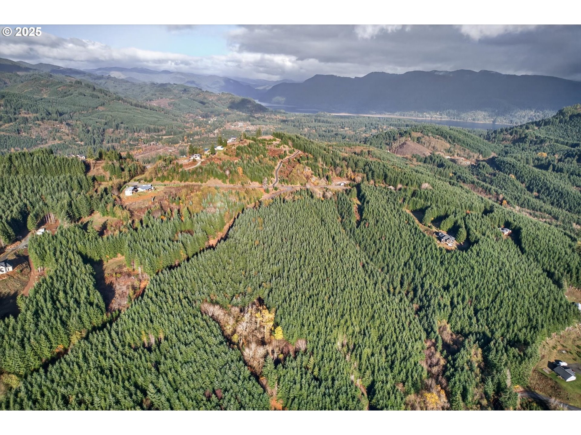 0 Knights Bridge Road Amboy, WA 98601 - Photo 18 of 20 a view of a lush green hillside and mountains