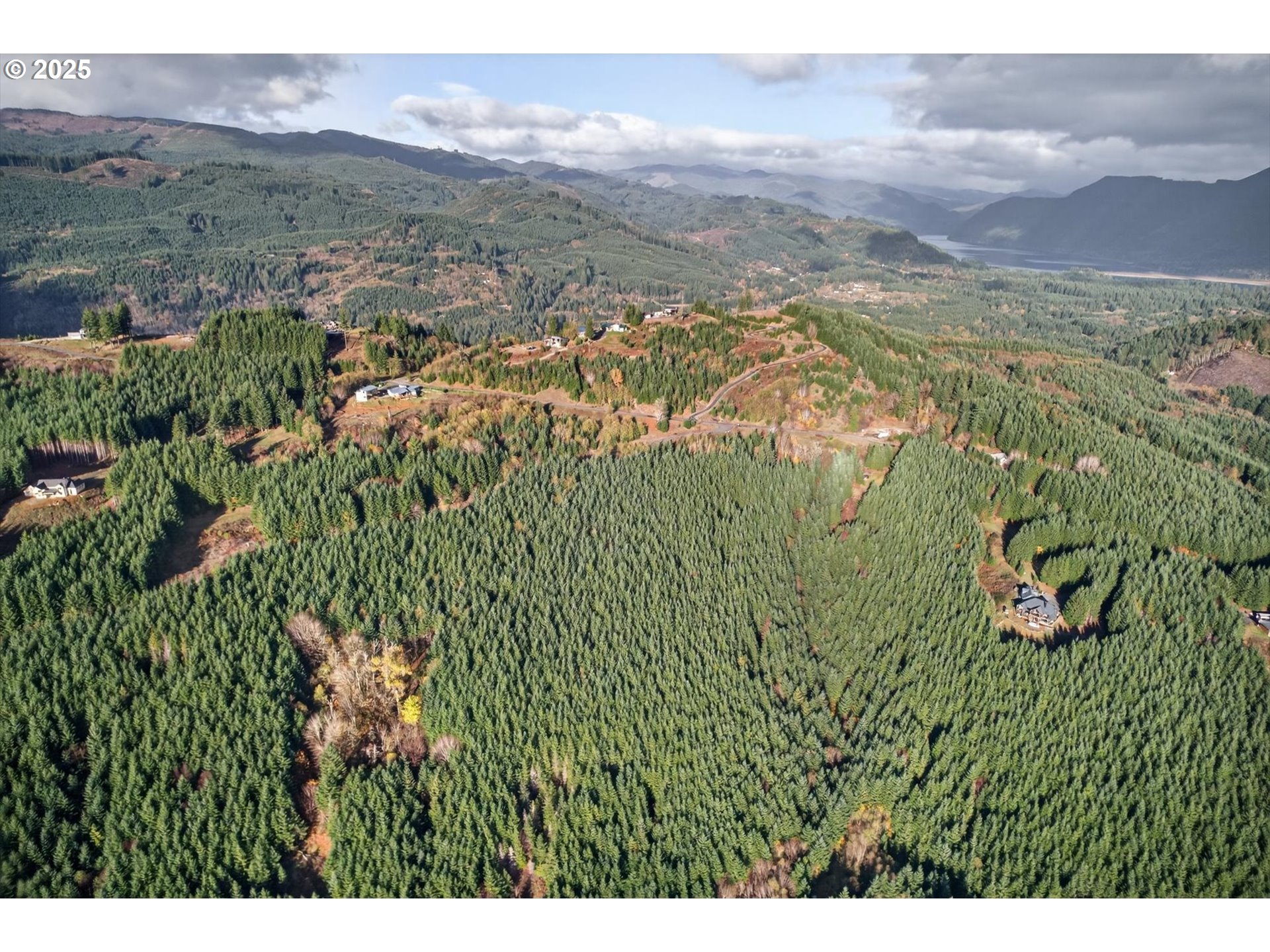 0 Knights Bridge Road Amboy, WA 98601 - Photo 19 of 20 a view of lake with mountain