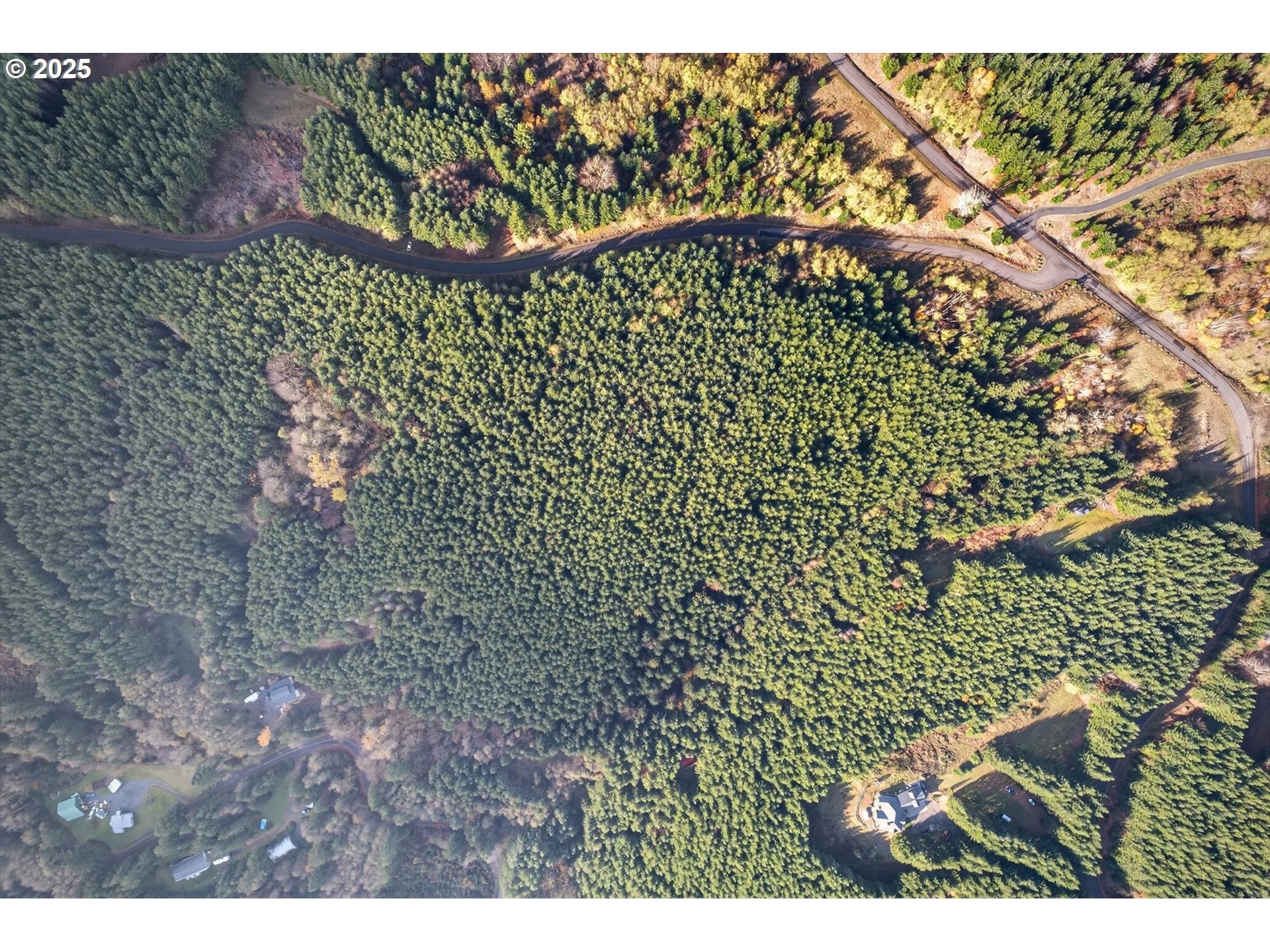 0 Knights Bridge Road Amboy, WA 98601 - Photo 20 of 20 a picture of a tree