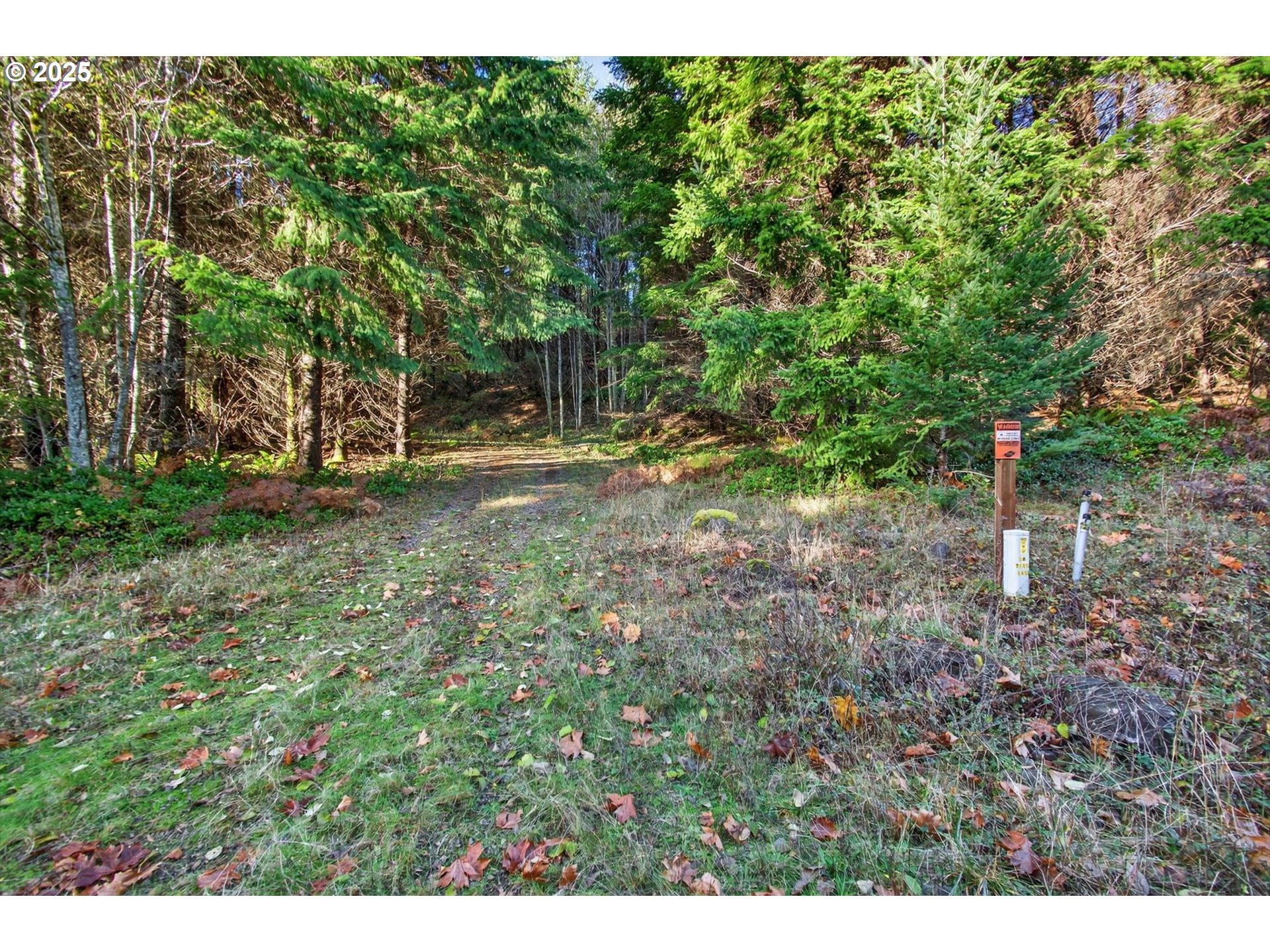 0 Knights Bridge Road Amboy, WA 98601 - Photo 4 of 20 a view of a tree in the middle of a yard