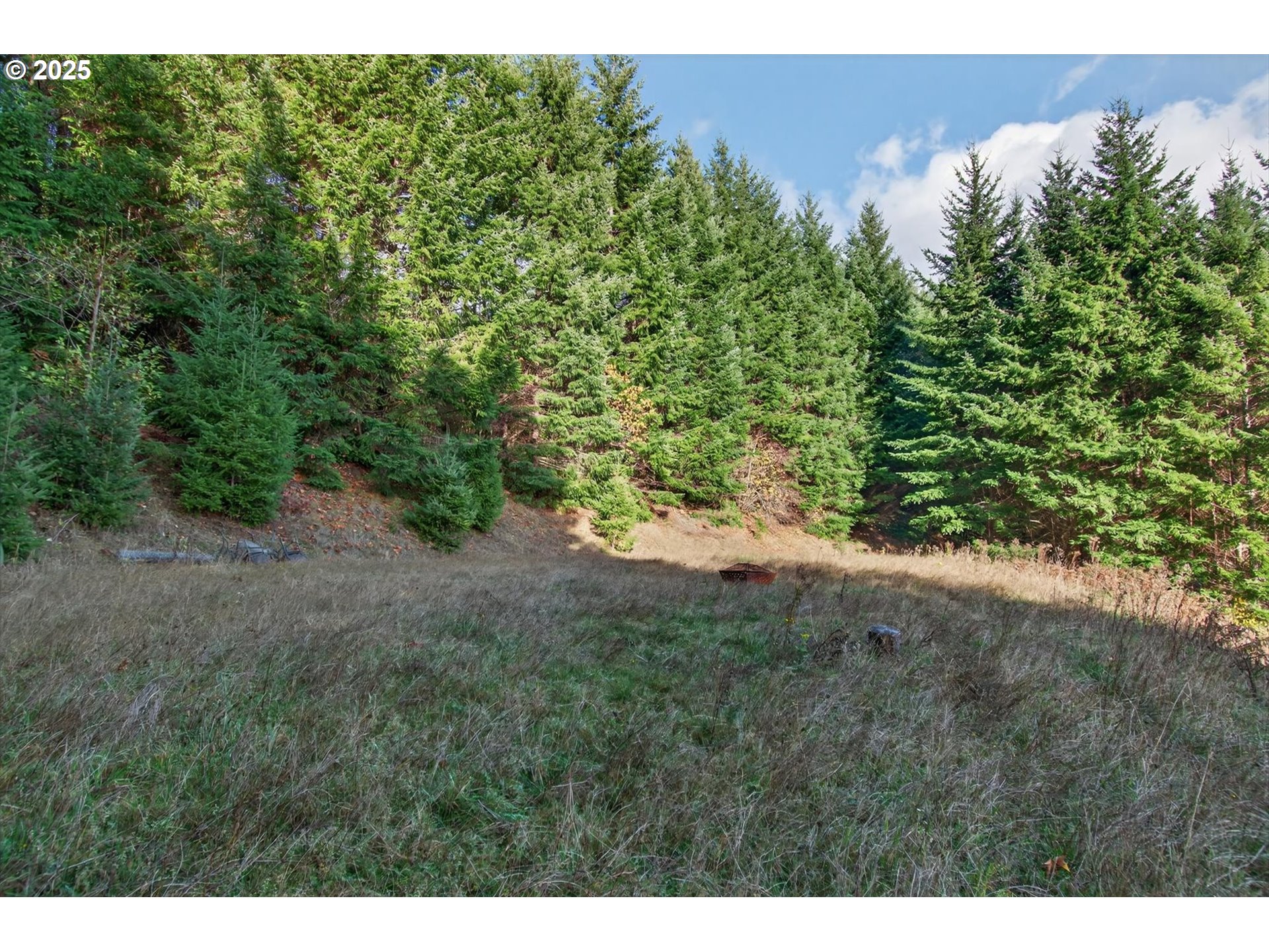 0 Knights Bridge Road Amboy, WA 98601 - Photo 7 of 20 a view of a yard with a tree