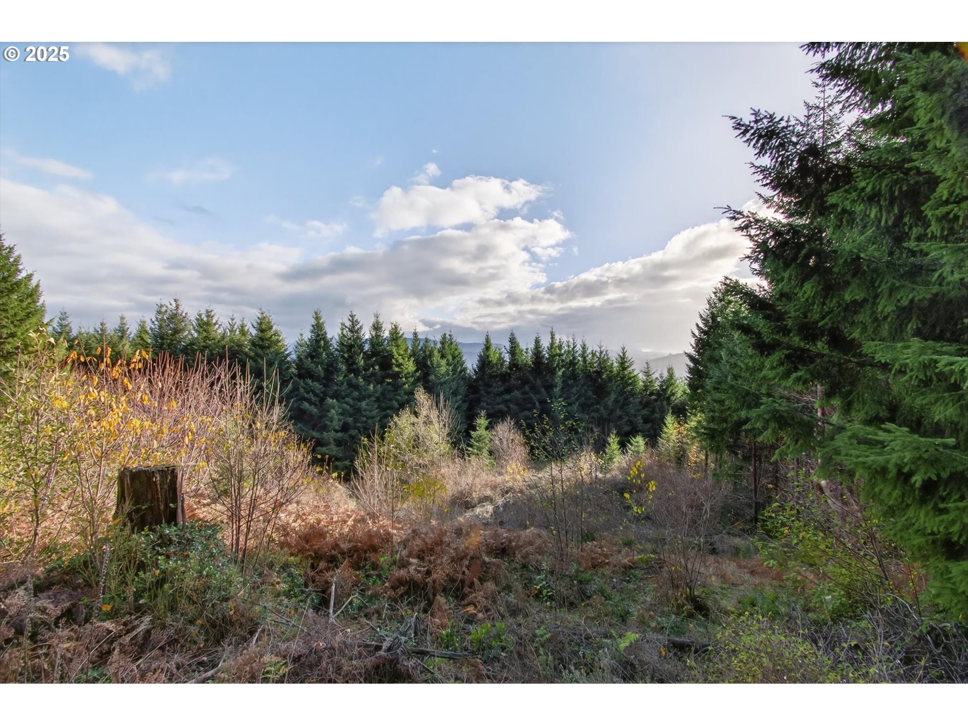 0 Knights Bridge Road Amboy, WA 98601 - Photo 8 of 20 a view of a lake