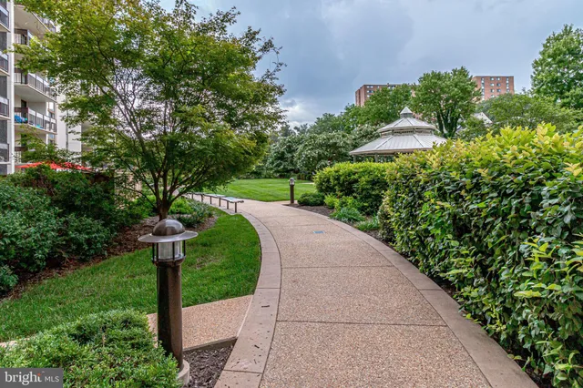 a view of a garden with a fountain