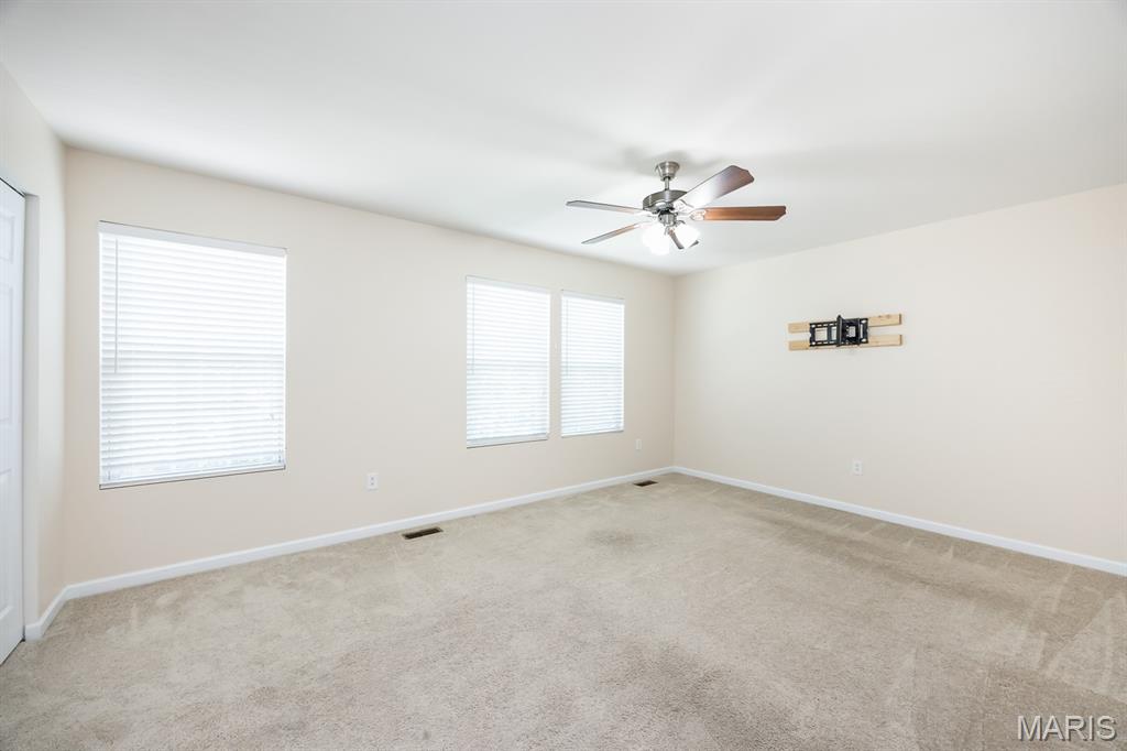 205 Greenleaf Circle Belleville, IL 62221 - Photo 22 of 36