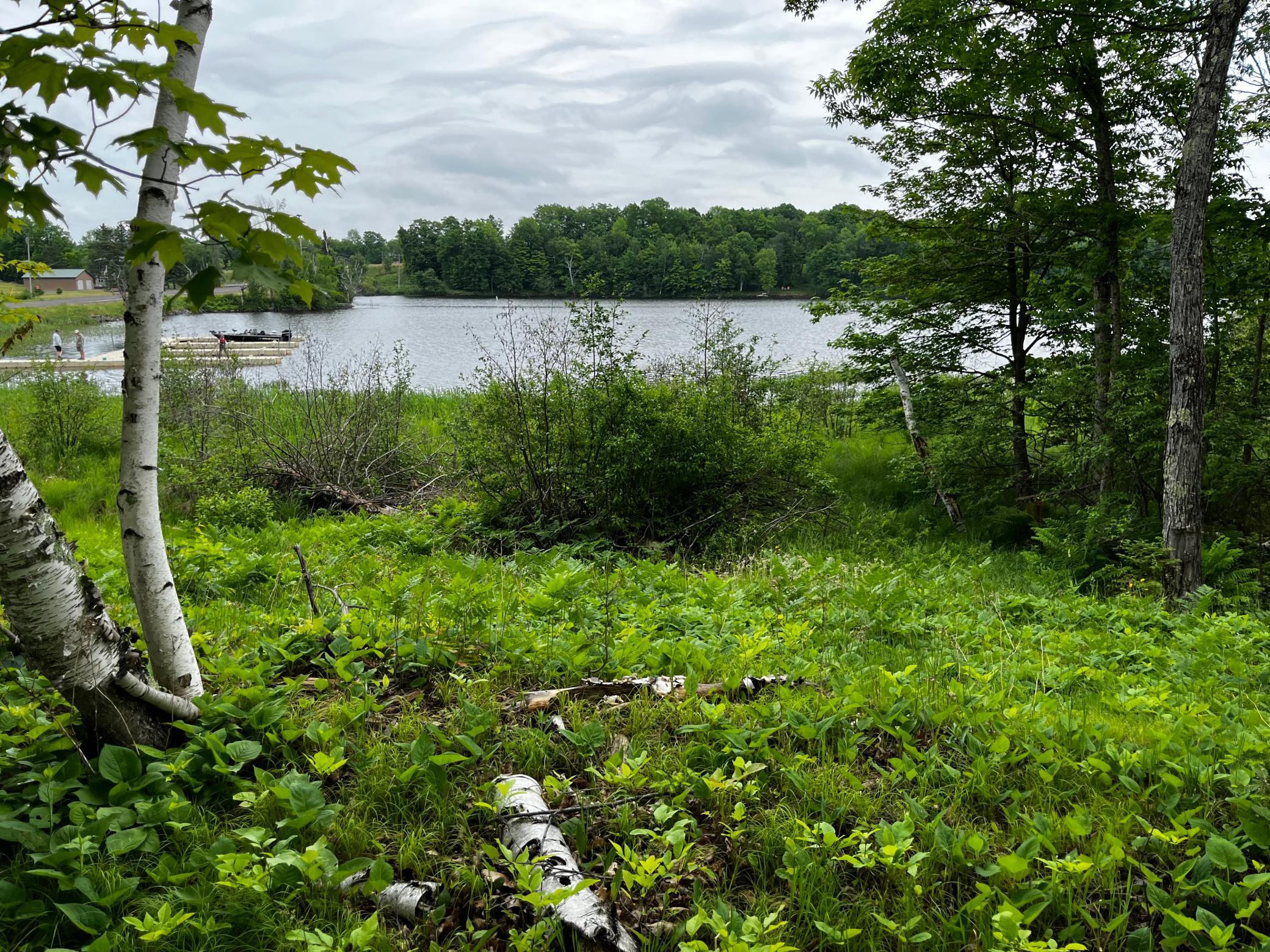 45105 Co Hwy D Cable, WI 54821 - Photo 2 of 14