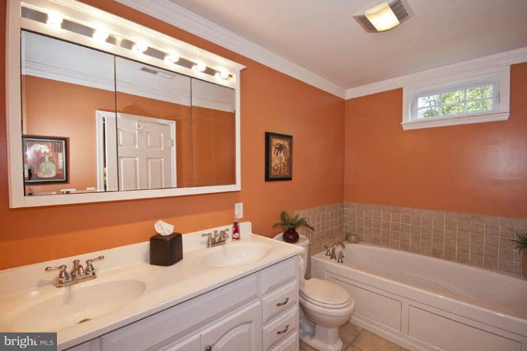 13211 Choptank Road Baltimore, MD 21220 - Photo 18 of 30 Bath (Master)