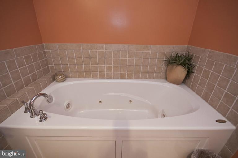 13211 Choptank Road Baltimore, MD 21220 - Photo 19 of 30 Bath (Master)