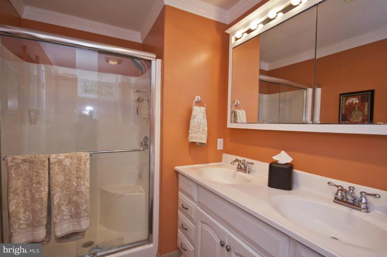 13211 Choptank Road Baltimore, MD 21220 - Photo 20 of 30 Bath (Master)