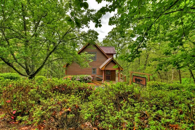 a view of a house with a small yard plants and large tree
