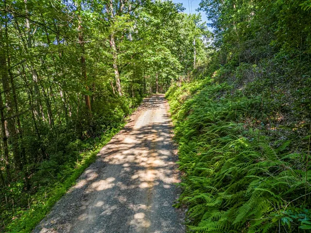 $550,000 | 294 Oakwood Trail, Mineral Bluff, GA 30559