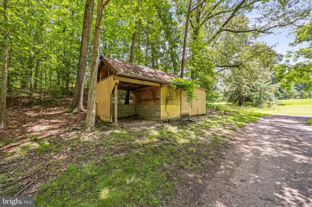 a view of a backyard with large trees and wooden fence