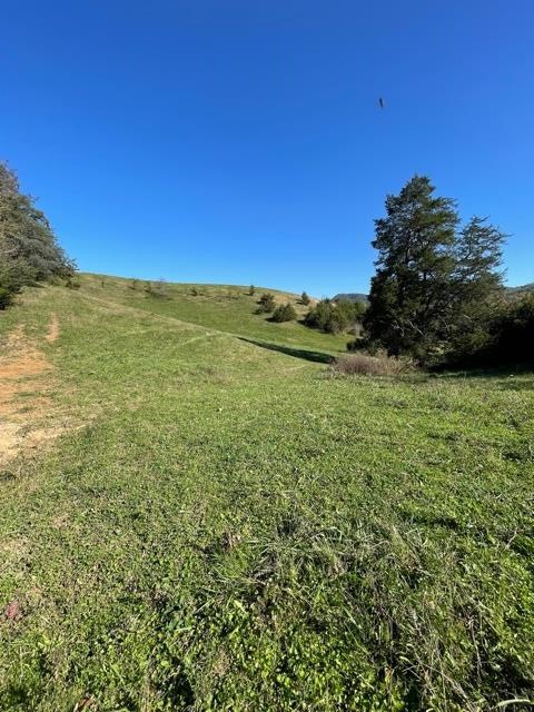 0 McCarter Hollow Road Sevierville, TN 37862 - Photo 15 of 17
