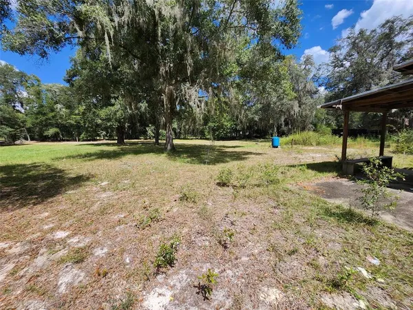 a view of a yard with a tree
