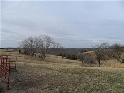 2220 Harris Ferry Road Irvine, KY 40336 - Photo 1 of 8 Photo 1