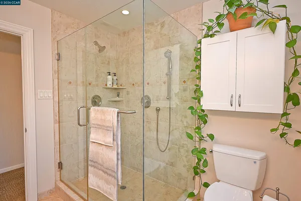 a bathroom with a shower and a toilet