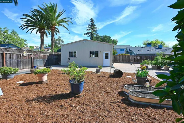 a view of a backyard with plants and chairs
