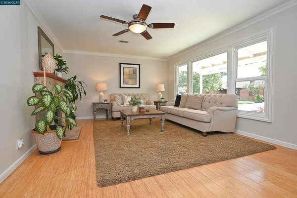 a living room with furniture potted plant and a window