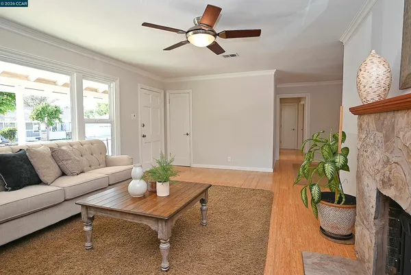 a living room with furniture potted plant and window