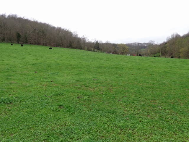 860 Petersburg-Chestnut Ridge Road Petersburg, TN 37144 - Photo 22 of 23 Gallery Image 22