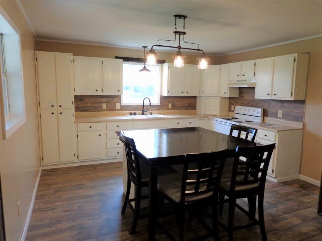 860 Petersburg-Chestnut Ridge Road Petersburg, TN 37144 - Photo 4 of 23 Gallery Image 4