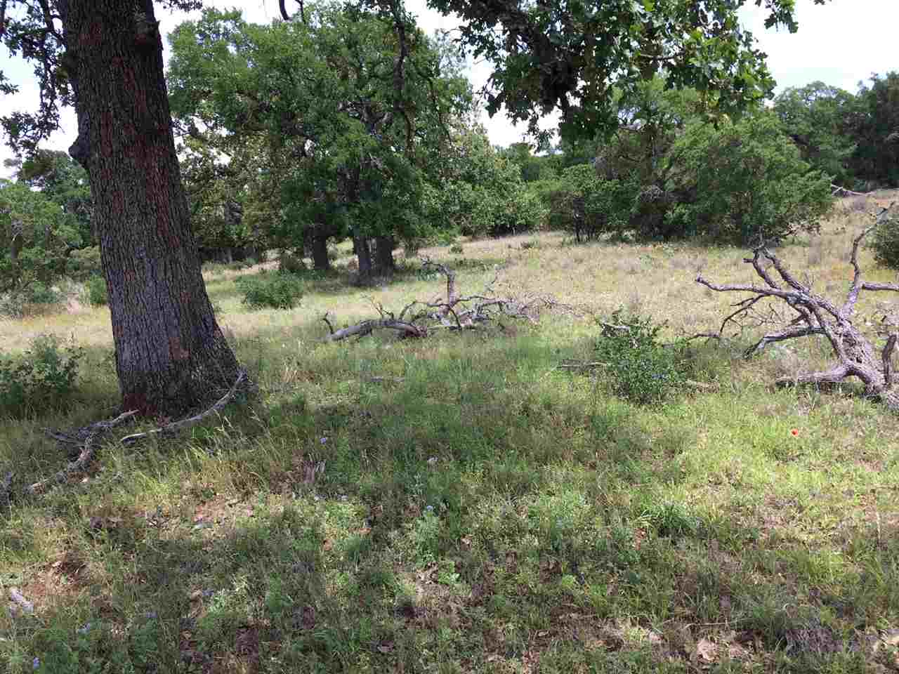 Lot 4 Comanche Ridge Round Mountain, TX 78663 - Photo 1 of 1 a view of a forest filled with trees