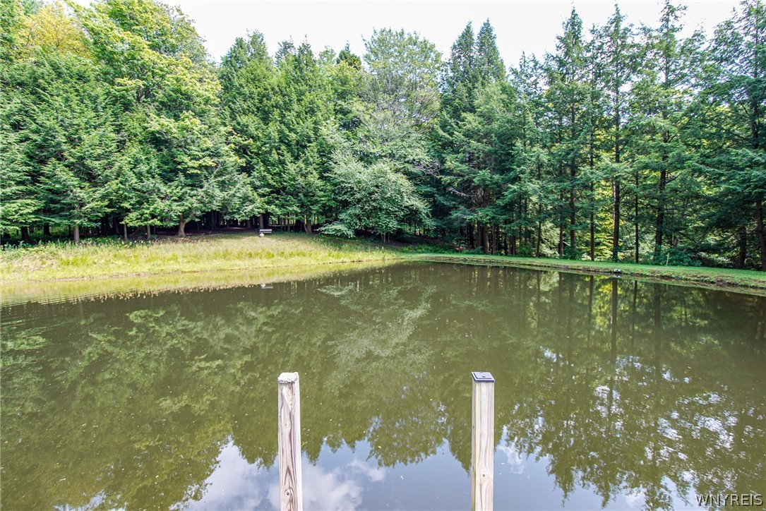 8931 Hayes Hollow Road Colden, NY 14033 - Photo 44 of 50