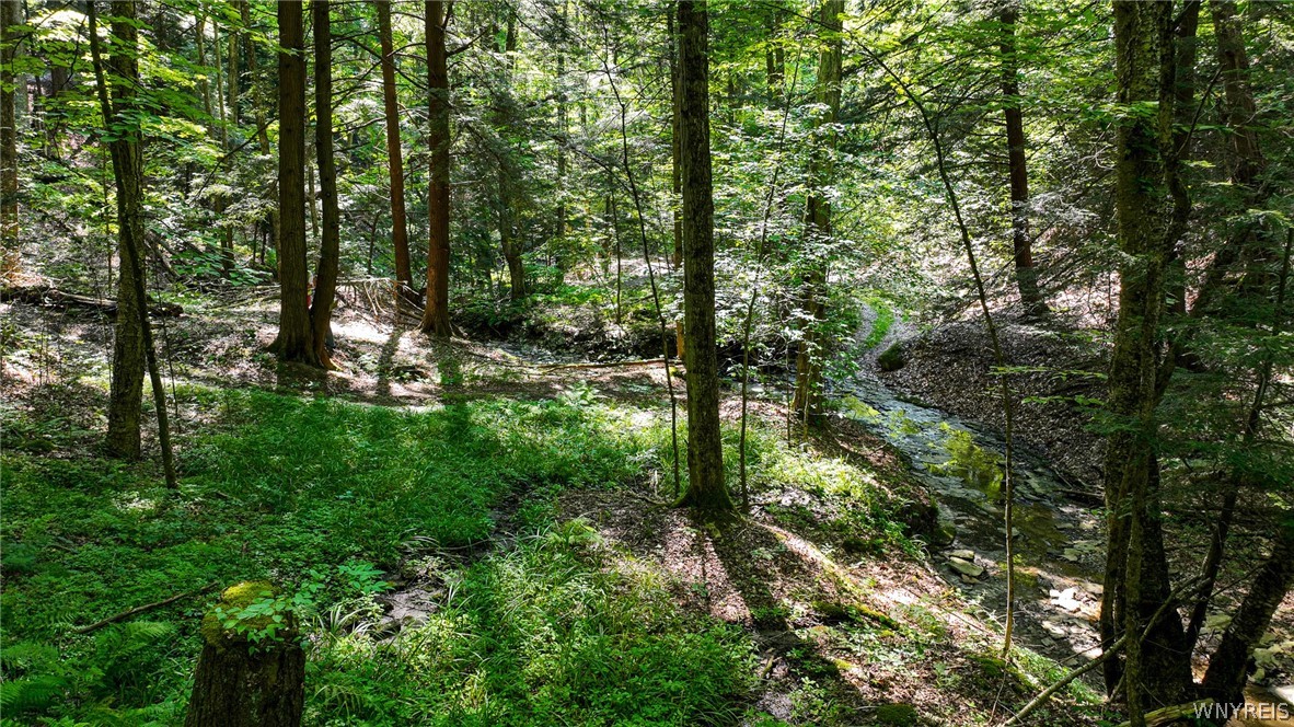 8931 Hayes Hollow Road Colden, NY 14033 - Photo 46 of 50