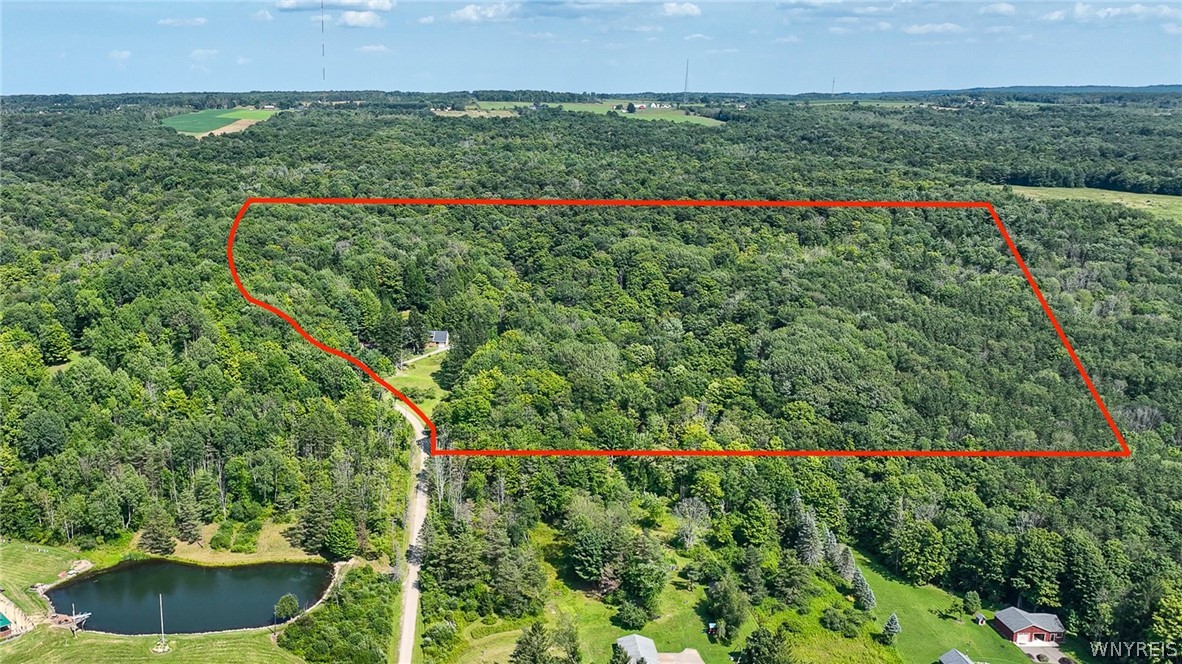 8931 Hayes Hollow Road Colden, NY 14033 - Photo 48 of 50