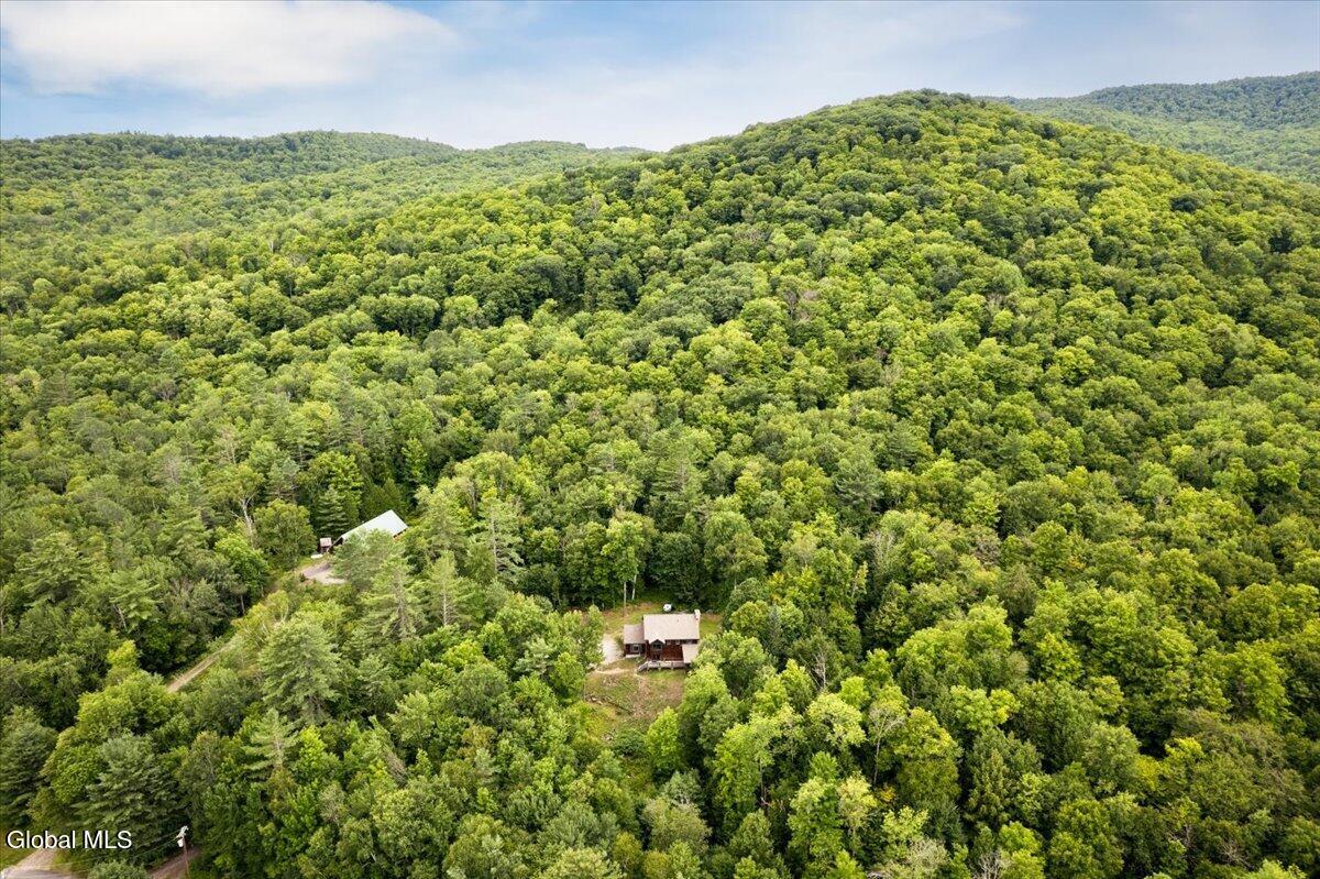 175 John Brannon Road Minerva, NY 12851 - Photo 48 of 51 45-376JohnBrannon-45