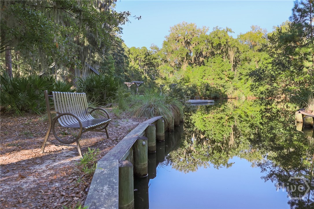 32 Appleton Court Richmond Hill, GA 31324 - Photo 42 of 51