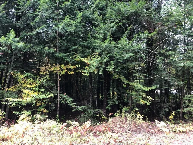 $90,000 | 122 Centennial Drive, Unit LOTS 120 121 122 123, Webster, NH 03303