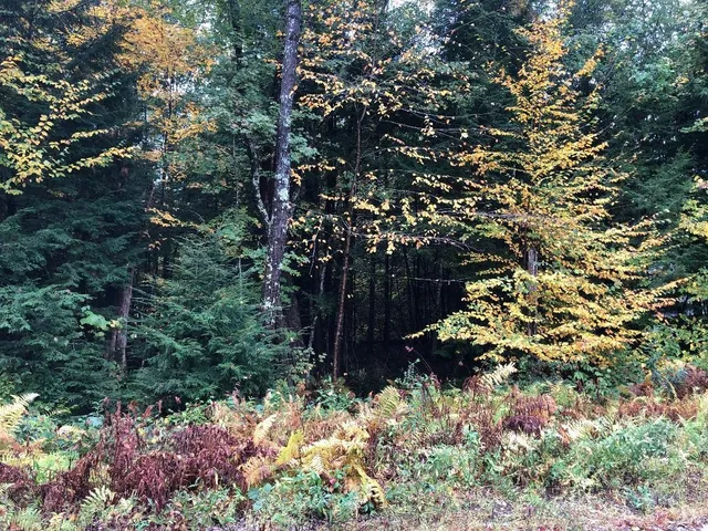 $90,000 | 122 Centennial Drive, Unit LOTS 120 121 122 123, Webster, NH 03303