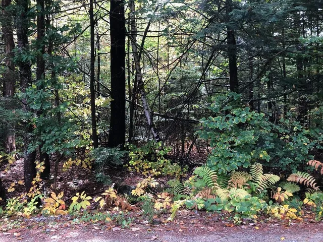 $90,000 | 122 Centennial Drive, Unit LOTS 120 121 122 123, Webster, NH 03303