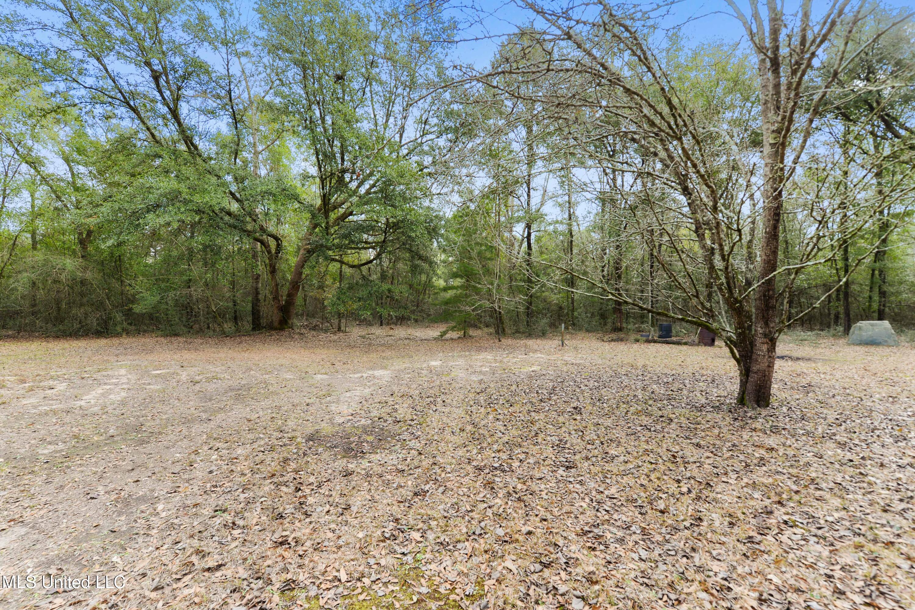 3266 Ward Pineview Road Lucedale, MS 39452 - Photo 25 of 34 IMG_6071