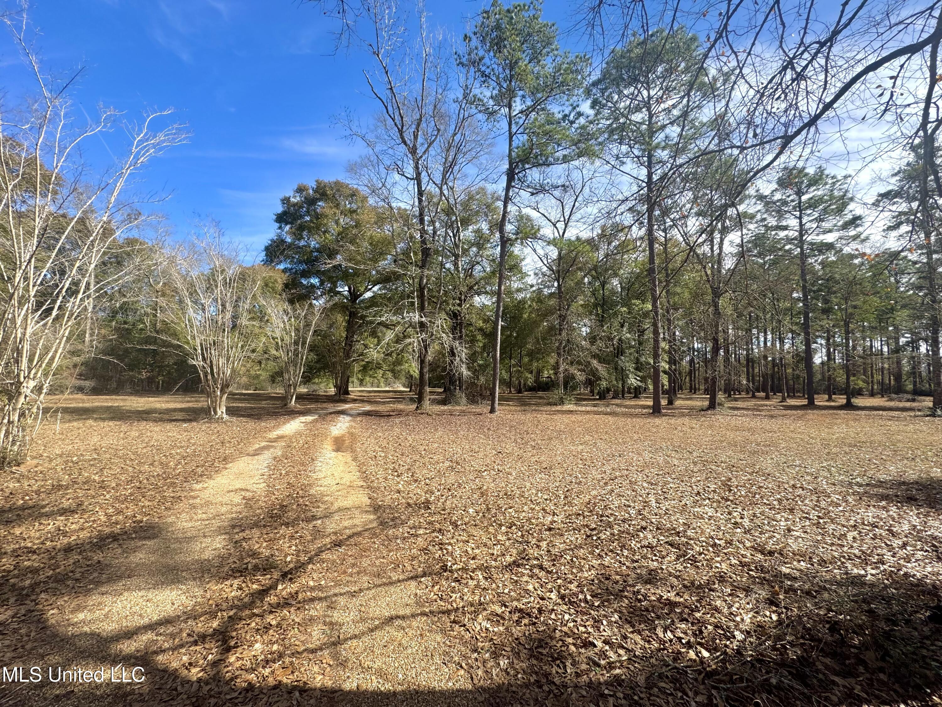 3266 Ward Pineview Road Lucedale, MS 39452 - Photo 26 of 34 IMG_6108
