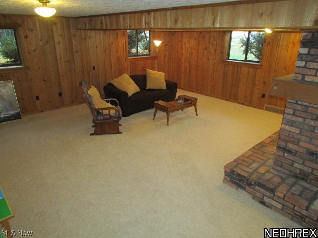2860 Narrows Road Perry, OH 44081 - Photo 16 of 25 The lower level family room is warm and inviting. Plenty of space for any size furniture.
