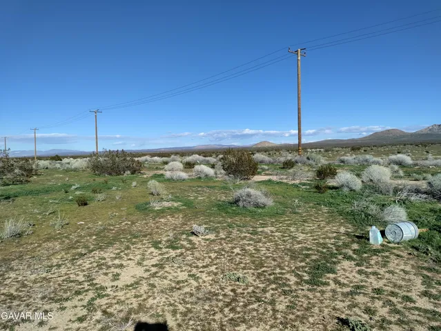 a view of a city from a yard