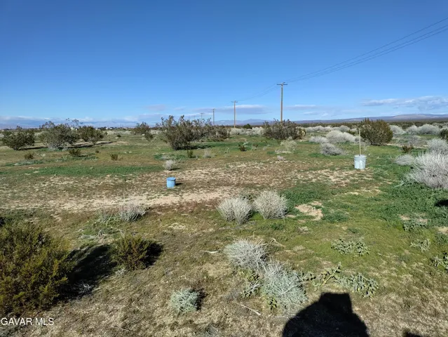 a view of a bunch of trees and houses