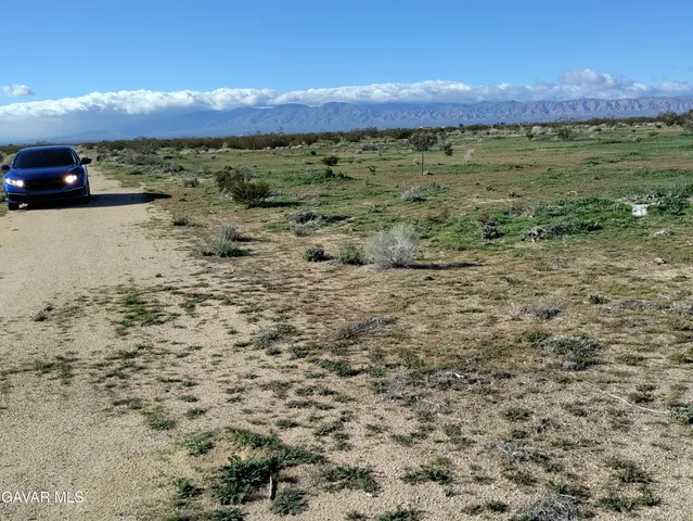 a view of a field with an ocean view