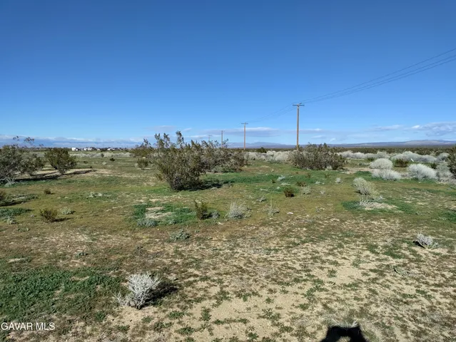 a view of a field with an ocean