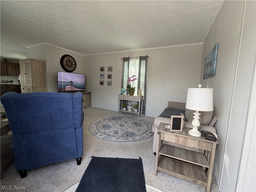 4341 Riverview Road, Unit 62 Peninsula, OH 44264 - Photo 4 of 16 Neutral-toned walls complement light-colored carpeting throughout this interior living space