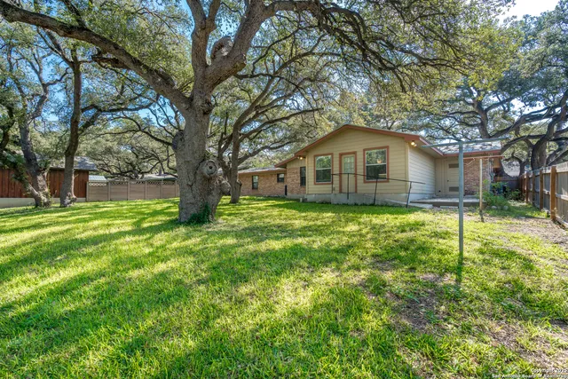 a view of backyard with large trees