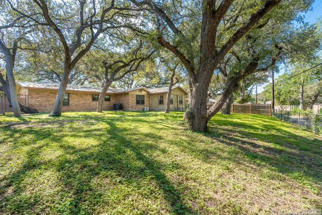 a view of a house with backyard and a tree