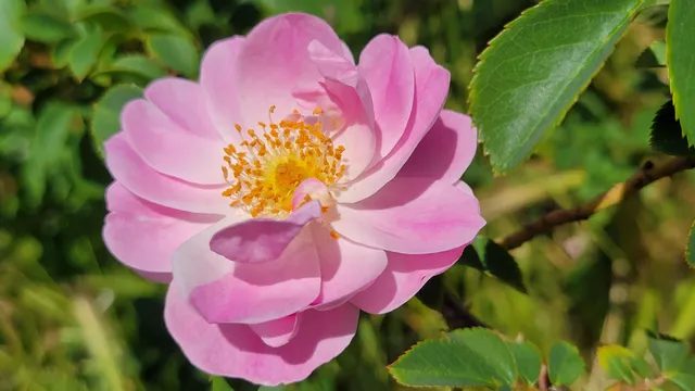 $70,000 | 1912 Cascade Boulevard, Shasta Lake, CA 96019