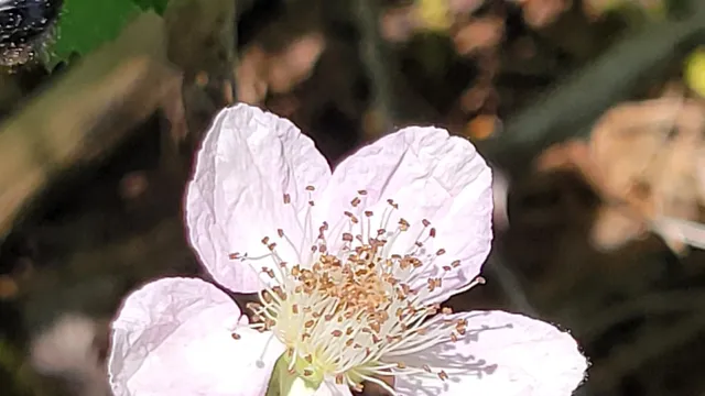 $70,000 | 1912 Cascade Boulevard, Shasta Lake, CA 96019