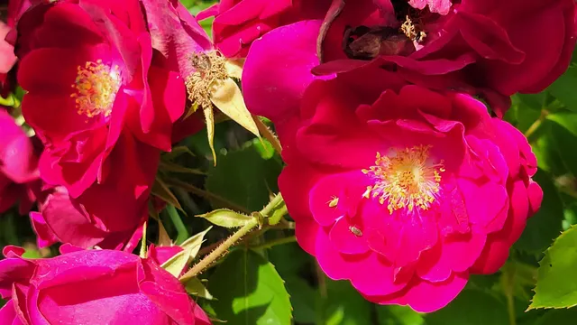 $70,000 | 1912 Cascade Boulevard, Shasta Lake, CA 96019